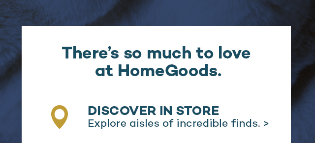 Go Finding at HomeGoods