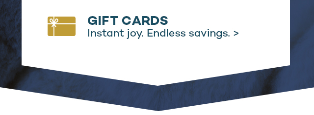 Go Finding at HomeGoods